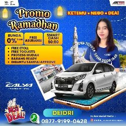 DEIDRI AINUL HAYA DEIDRI AINUL HAYA