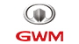 GWM Electric Cars