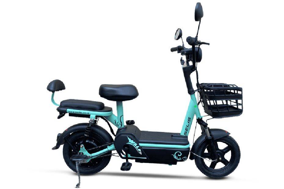 Selis Walet Cyan Selis Walet Cyan