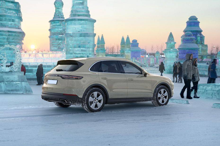 Cayenne Rear Medium Side View Cayenne Rear Medium Side View