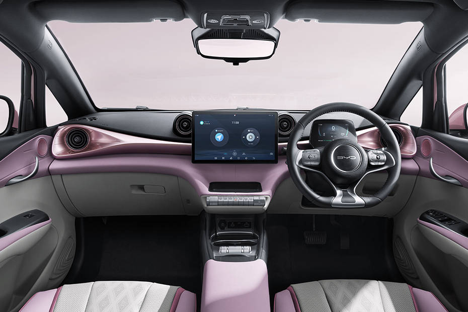 Dashboard Dolphin Dashboard Dolphin