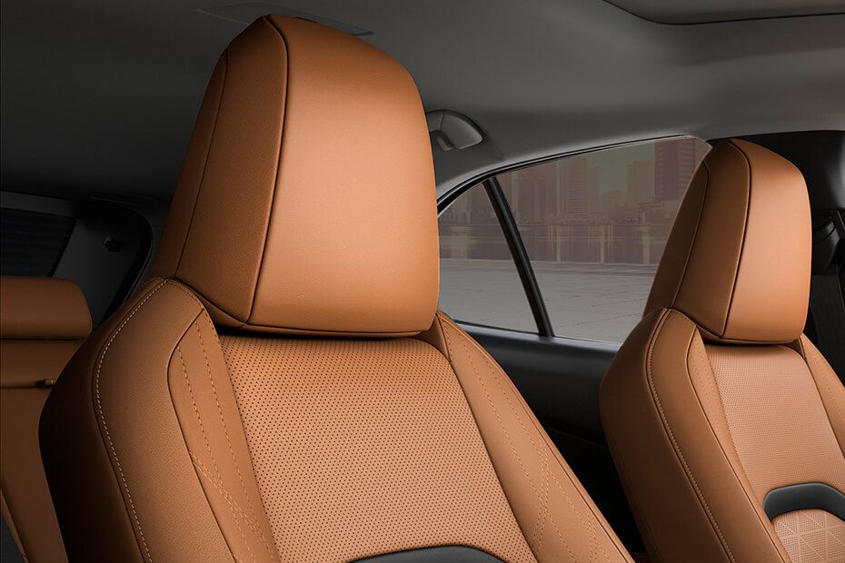 Lexus UX  Front Seat Headrest