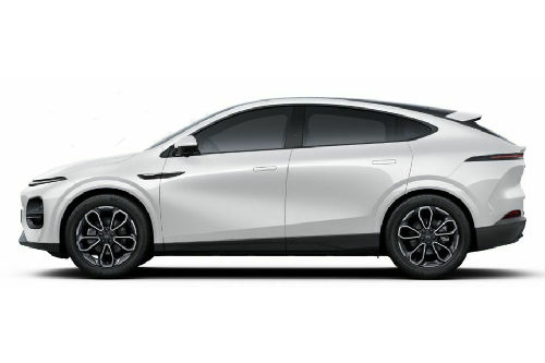 Arctic White
