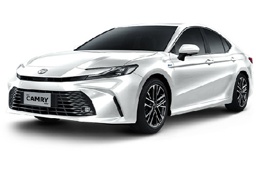 Platinum White Pearl