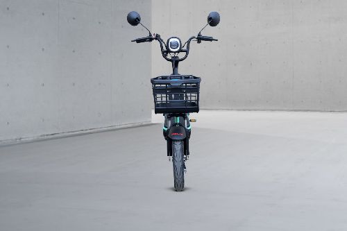 Selis Walet Front View Full Image