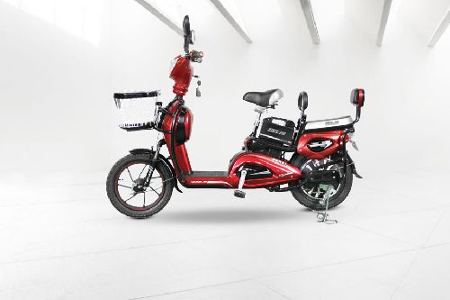 Selis Murai Left Side View Full Image