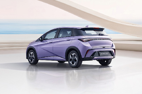 Tampak belakang serong Dolphin