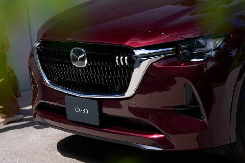 Tampak Grille CX-80