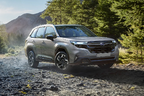 Forester Front angle low view