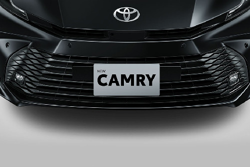 Camry Grille View