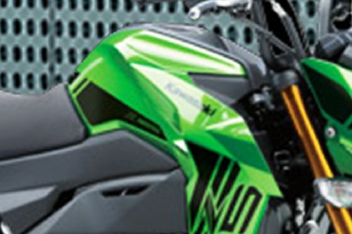 Fuel Tank View Kawasaki Z125 PRO Fuel Tank View