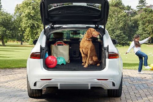 Tampak bagasi XF terbuka