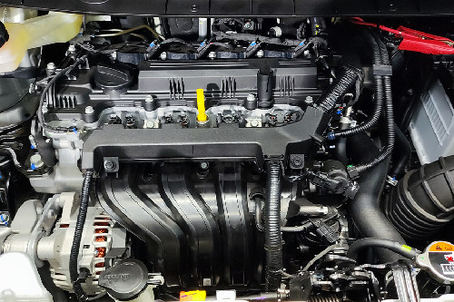 Bagasi Stargazer Cartenz terbuka