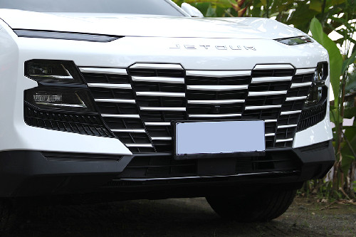 Grille View Dashing Grille View