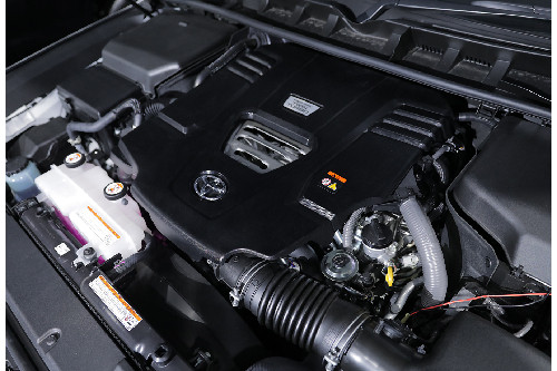 Bagasi Land Cruiser terbuka